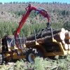 Forwarder Bertotto 160TH