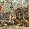 Grua forestal Penzsaur 5.75WH